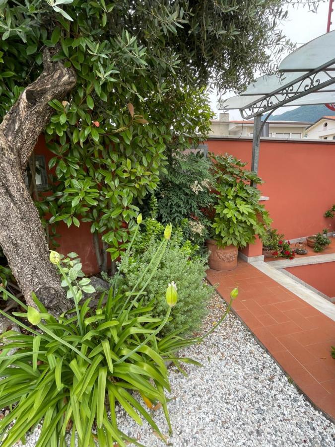 In Versilia Серавецца Екстер'єр фото