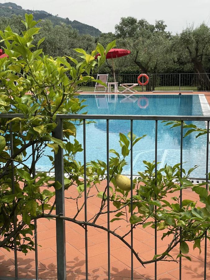 In Versilia Серавецца Екстер'єр фото
