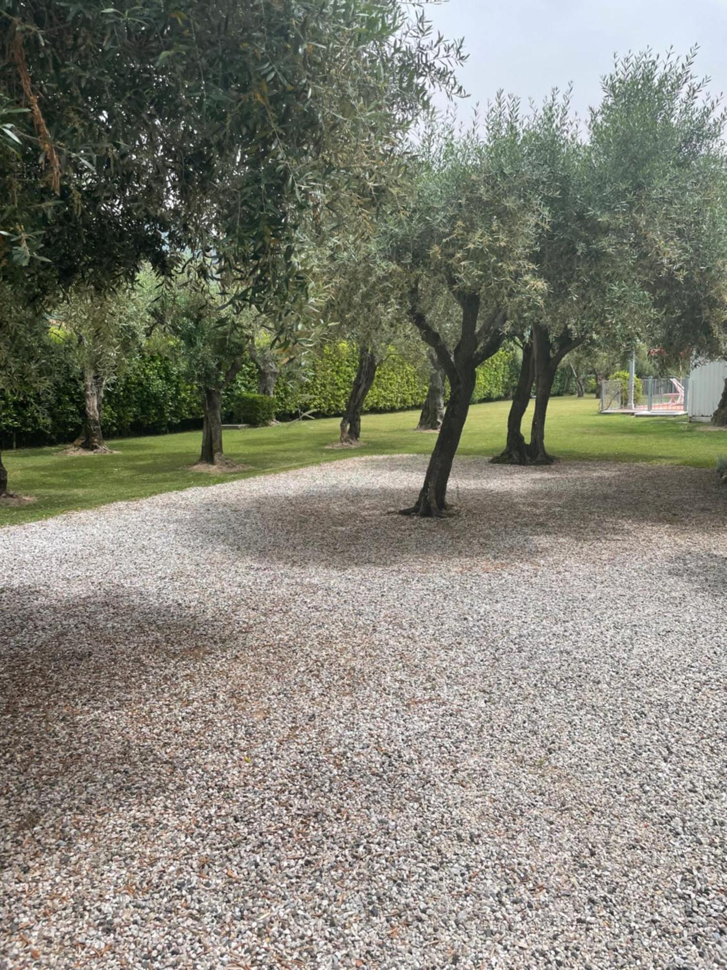 In Versilia Серавецца Екстер'єр фото